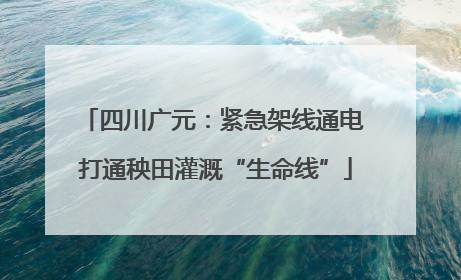 四川广元：紧急架线通电 打通秧田灌溉“生命线”
