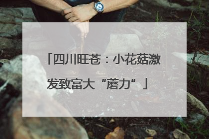 四川旺苍：小花菇激发致富大“蘑力”