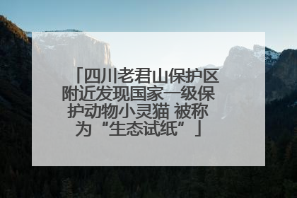 四川老君山保护区附近发现国家一级保护动物小灵猫 被称为“生态试纸”
