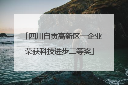 四川自贡高新区一企业荣获科技进步二等奖