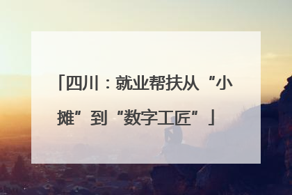 四川：就业帮扶从“小摊”到“数字工匠”