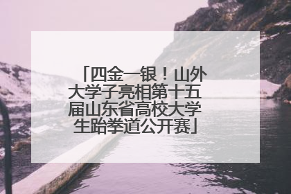 四金一银！山外大学子亮相第十五届山东省高校大学生跆拳道公开赛