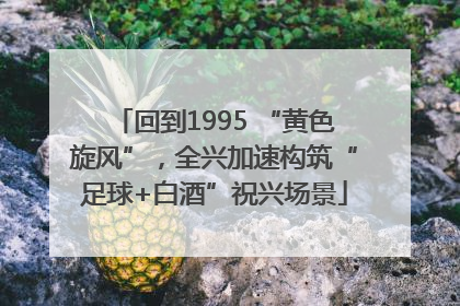 回到1995 “黄色旋风”，全兴加速构筑“足球+白酒”祝兴场景