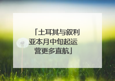 土耳其与叙利亚本月中旬起运营更多直航