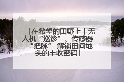 在希望的田野上丨无人机“巡诊”、传感器“把脉” 解锁田间地头的丰收密码