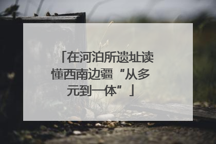 在河泊所遗址读懂西南边疆“从多元到一体”