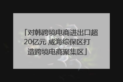 对韩跨境电商进出口超20亿元 威海综保区打造跨境电商聚集区