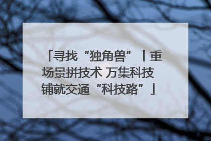 寻找“独角兽”丨重场景拼技术 万集科技铺就交通“科技路”