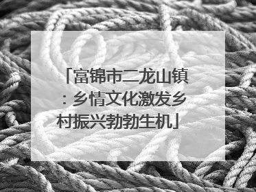 富锦市二龙山镇：乡情文化激发乡村振兴勃勃生机