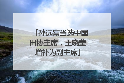 孙远富当选中国田协主席，王晓莹增补为副主席
