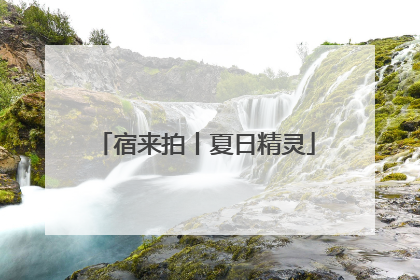 宿来拍丨夏日精灵