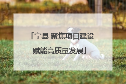 宁县 聚焦项目建设 赋能高质量发展