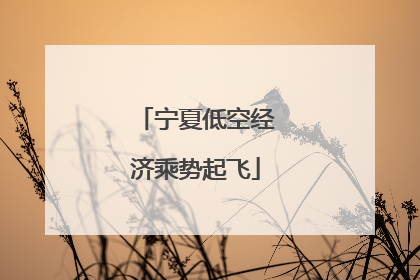 宁夏低空经济乘势起飞