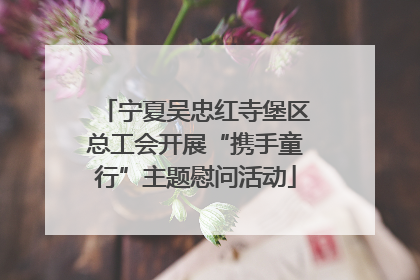 宁夏吴忠红寺堡区总工会开展“携手童行”主题慰问活动