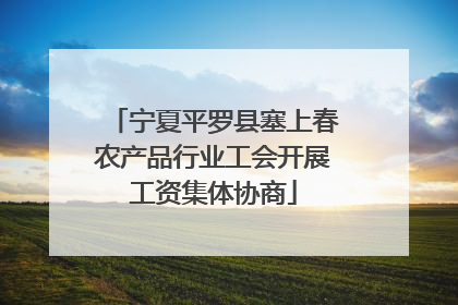 宁夏平罗县塞上春农产品行业工会开展工资集体协商