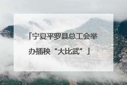 宁夏平罗县总工会举办插秧“大比武”
