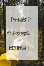 宁夏数字经济发展跑出加速度