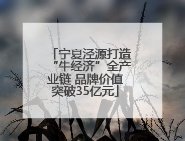 宁夏泾源打造“牛经济”全产业链 品牌价值突破35亿元