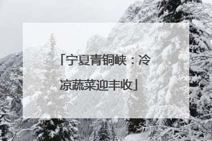 宁夏青铜峡：冷凉蔬菜迎丰收