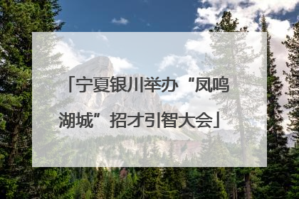 宁夏银川举办“凤鸣湖城”招才引智大会