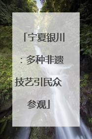 宁夏银川：多种非遗技艺引民众参观