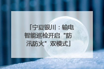 宁夏银川：输电智能巡检开启“防汛防火”双模式