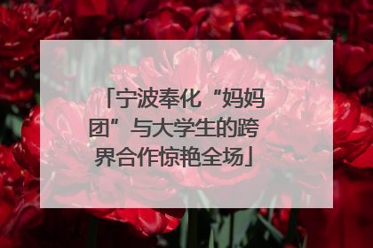 宁波奉化“妈妈团”与大学生的跨界合作惊艳全场