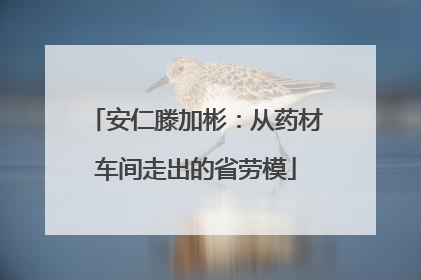 安仁滕加彬：从药材车间走出的省劳模