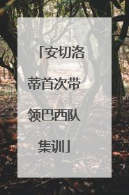 安切洛蒂首次带领巴西队集训