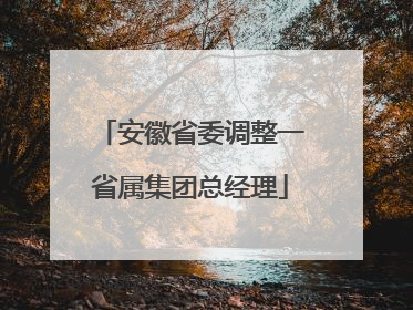 安徽省委调整一省属集团总经理