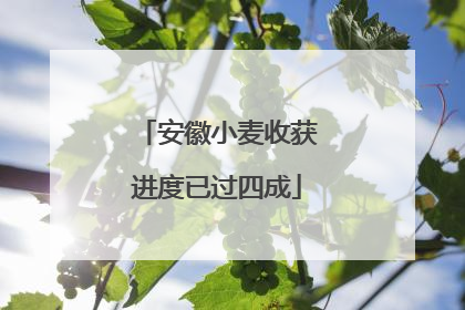 安徽小麦收获进度已过四成