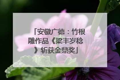 安徽广德：竹根雕作品《梁丰岁稔》斩获金鼎奖