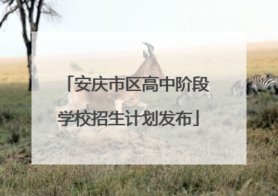 安庆市区高中阶段学校招生计划发布