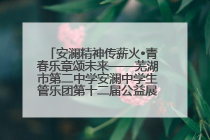 安澜精神传薪火•青春乐章颂未来——芜湖市第二中学安澜中学生管乐团第十二届公益展演圆满举行