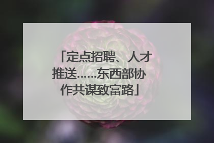 定点招聘、人才推送……东西部协作共谋致富路