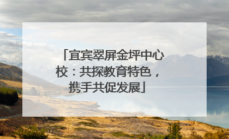 宜宾翠屏金坪中心校：共探教育特色，携手共促发展