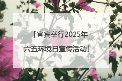 宜宾举行2025年六五环境日宣传活动