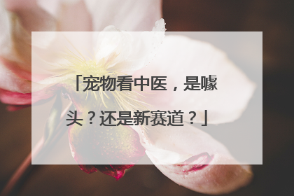 宠物看中医，是噱头？还是新赛道？