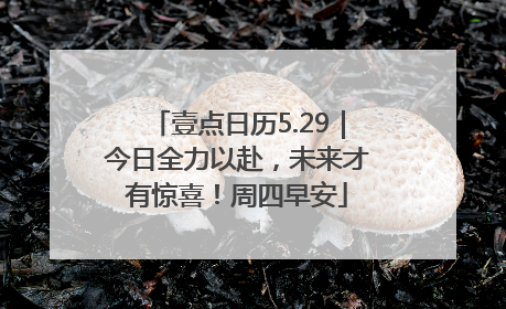 壹点日历5.29｜今日全力以赴，未来才有惊喜！周四早安