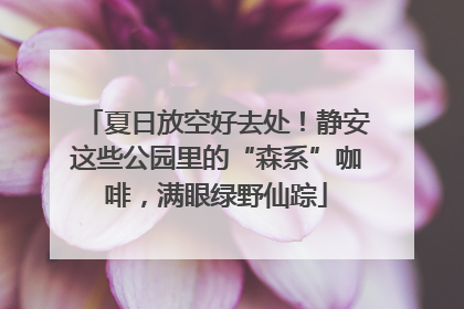 夏日放空好去处！静安这些公园里的“森系”咖啡，满眼绿野仙踪