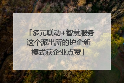 多元联动+智慧服务 这个派出所的护企新模式获企业点赞