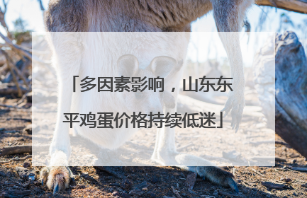 多因素影响，山东东平鸡蛋价格持续低迷