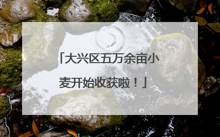 大兴区五万余亩小麦开始收获啦！