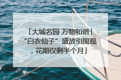 大城名园 万物和谐│“白衣仙子”盛放引围观，花期仅剩半个月