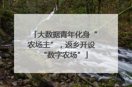 大数据青年化身“农场主”，返乡开设“数字农场”