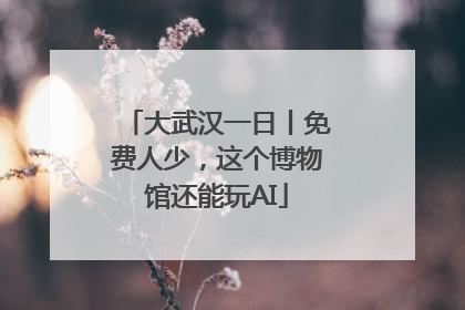 大武汉一日丨免费人少，这个博物馆还能玩AI