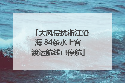 大风侵扰浙江沿海 84条水上客渡运航线已停航