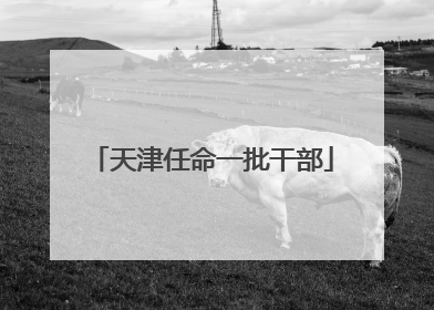 天津任命一批干部