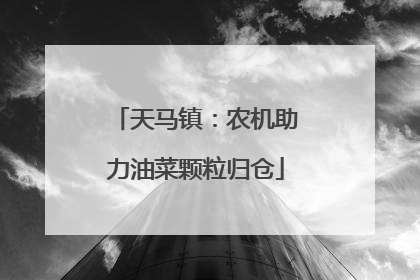天马镇：农机助力油菜颗粒归仓