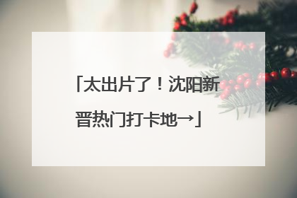 太出片了！沈阳新晋热门打卡地→